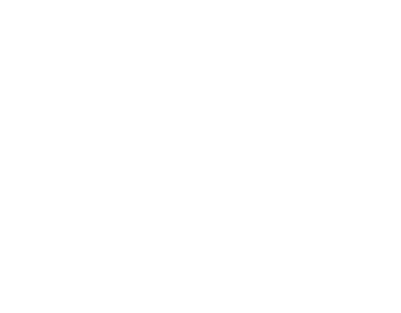 Malik Tech Solutions