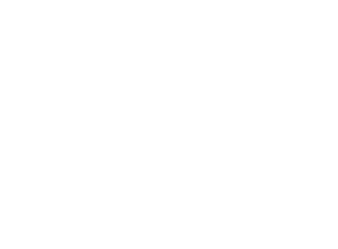 Malik Tech Solutions